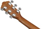 Ibanez V40WSCE Brown