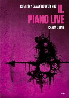 Piano live Chaim Cigan