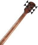 Spector NS Ethos 5 Super Faded Black