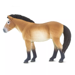 Safari Ltd. Safari Ltd. Figurka - Kůň převalského