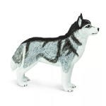 Safari Ltd. Safari Ltd. Figurka - Sibiřský husky