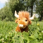 Plyšový skotský náhorní skot 16 cm, ECO-FRIENDLY