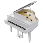 Roland GP-9M PW