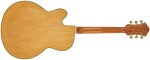 Ibanez PM200 Natural
