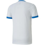 TeamGOAL 23 Jersey 12 Puma