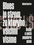 Blues je strom, ze kterýho všichni visíme - Úvahy o světě populární písně - Michal Bystrov