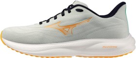 Běžecké boty Mizuno MIZUNO REVOLT 4 J1GC258103 Velikost obuvi v EU: 42