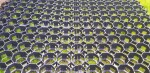 Rojaplast Zatravňovací dlaždice EKOGRID - 50x50x4 cm - černá