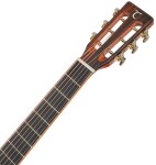 Tanglewood TJ8E