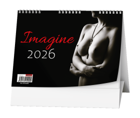 Stolní kalendář 2026 Baloušek - Imagine