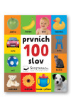 Prvních 100 slov
