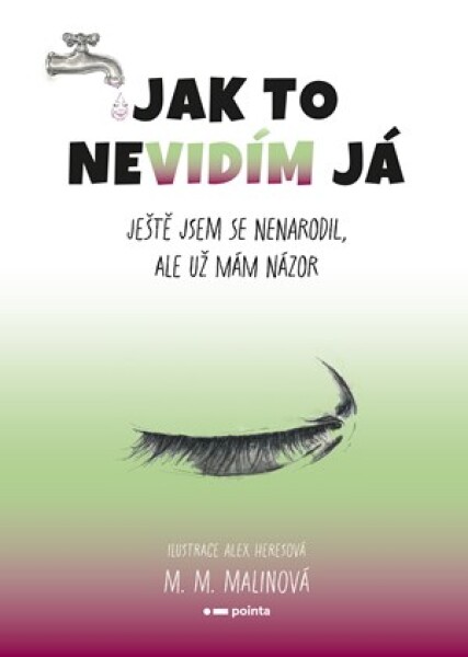 Jak to nevidím já