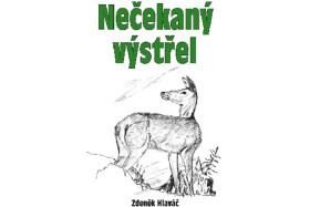 Nečekaný výstřel Zdeněk Hlaváč