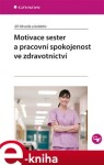 Motivace sester a pracovní spokojenost ve zdravotnictví - Jiří Vévoda e-kniha