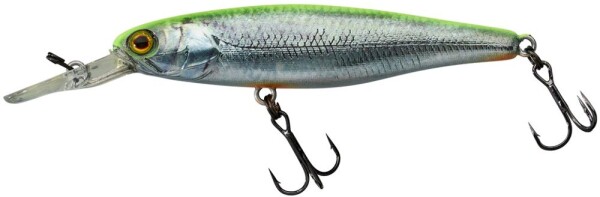 Illex Wobler Squirrel 7,6cm SP - RT Visible Roach,Illex Wobler Squirrel 7,6cm SP - RT Visible Roach