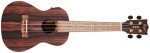 Flight DUC 460 Amara EQ