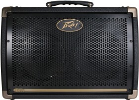 Peavey Ecoustic E208