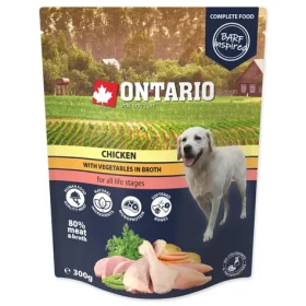 Ontario Kapsička kuře se zeleninou ve vývaru 300g (214-3333)