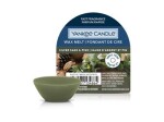 YANKEE CANDLE Silver Sage Pine vonný vosk