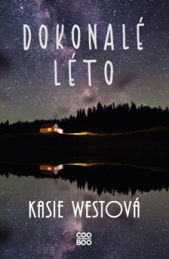 Dokonalé léto - Kasie Westová - e-kniha