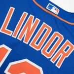 Nike Pánský dres New York Mets MLB Francisco Lindor #12 - Modrá Velikost: S