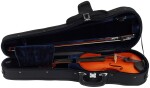 Eastman Ivan Dunov Prelude Violin 4/4 (VL170SBC )