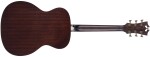 D'Angelico Premier Tammany Orchestra E Aged Burst
