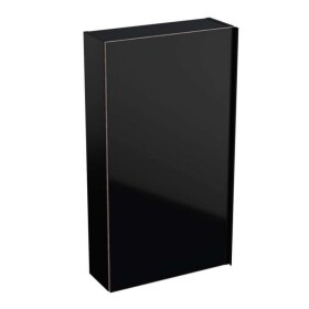 GEBERIT - Acanto Závěsná skříňka 45x82 cm se zrcadlem uvnitř, černá 500.639.16.1