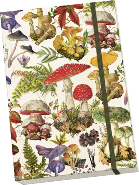 Notýsek Mushroom Forest