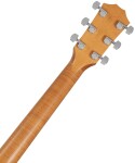 Taylor Academy 10e LTD