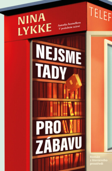 Nejsme tady pro zábavu - Nina Lykke - e-kniha