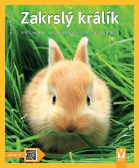 Zakrslý králík: