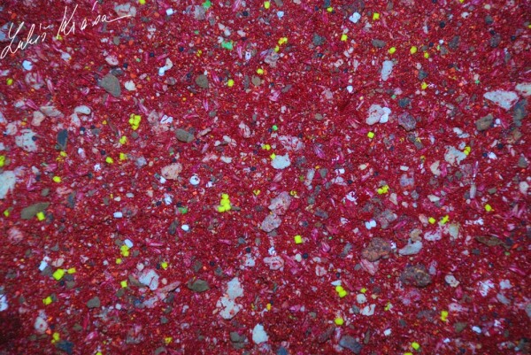 LK Baits IQ Method Mix Fish 1,5kg,LK Baits IQ Method Mix Fish 1,5kg