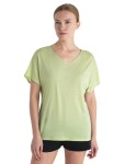 ICEBREAKER Wmns Drayden Reversible SS Top, Glazen (vzorek) velikost: S