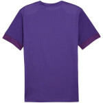 Puma teamGoal Matchday Jersey M 705747 10 pánské L