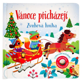 Vánoce přicházejí - Zvuková kniha - Sam Taplin