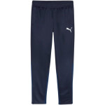 Puma Team Goal Training M kalhoty 658639 06 L