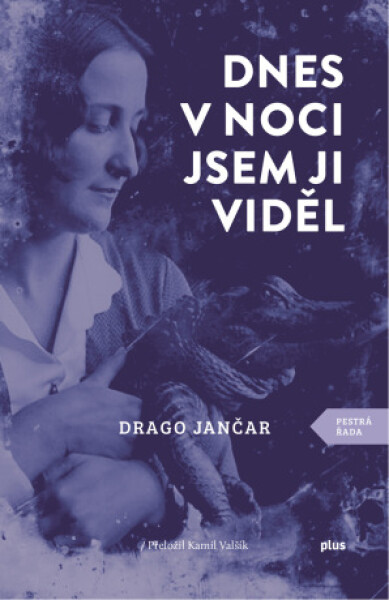 Dnes v noci jsem ji viděl - Drago Jančar - e-kniha