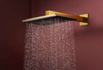 HANSGROHE - Raindance Alive Q Hlavová sprcha, 21x34 cm, leštěný vzhled zlata 24530990