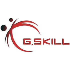 G.Skill 4GB DDR3-1600 SQ RAM modul pro notebooky DDR3 4 GB 1 x 4 GB 1066 MHz F3-12800CL11S-4GBSQ