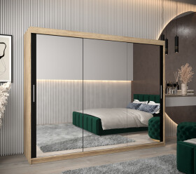 Šatní skříň Abi T3 Barva korpusu: Dub Sonoma, Rozměry: 250 cm, Dveře: Černá