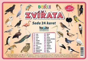 Ptáci zvířata - Sada 24 karet - Petr Kupka