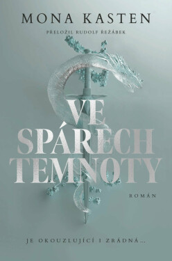 Ve spárech temnoty (poškozené) - Mona Kasten