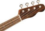 Fender Zuma Exotic Concert Ukulele WN BOC
