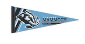 Wincraft Vlajka Utah Mammoth NHL Premium Pennant