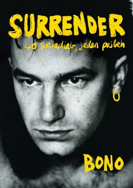 Surrender: 40 skladieb, jeden príbeh - Bono - e-kniha