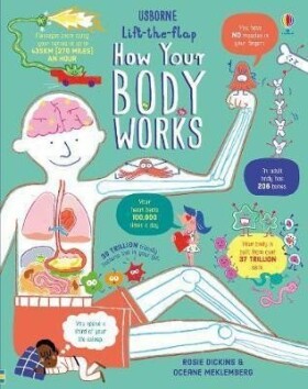 Lift-the-Flap How Your Body Works - Rosie Dickins