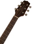 Takamine GD30CE-NAT
