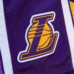 Mitchell & Ness Pánské kraťasy Los Angeles Lakers NBA Hyper Hoops Swingman Shorts Velikost: S