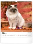 Kalendář 2024 nástěnný: Kočky, 30 × 34 cm